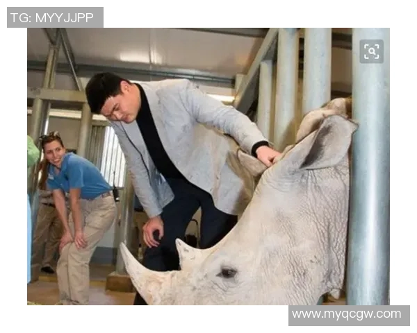 小犀牛姚明的成长之路与篮球梦想的追逐与坚持