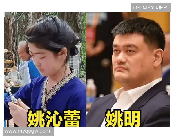 姚明的爱情故事揭秘他与几位妻子的情感历程与生活点滴